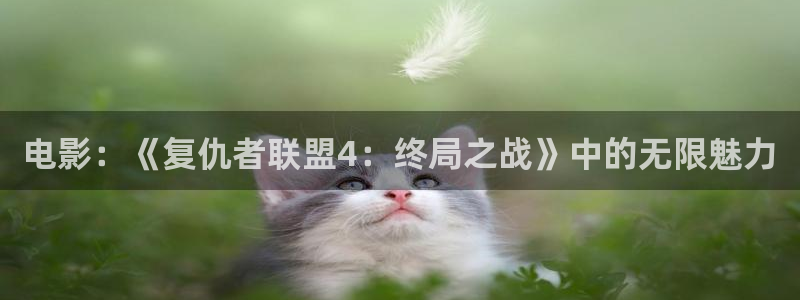 5060午夜在线播放