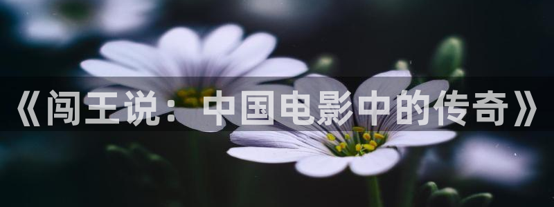 午夜伦理大片视频在线观看