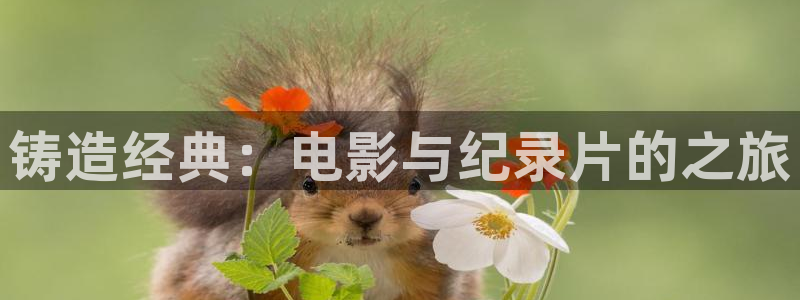 午夜大片在线免费观看