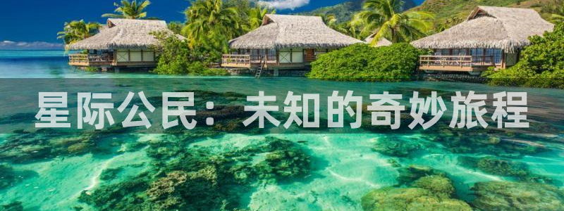 6午夜理论电影