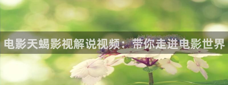 男人午夜电影在线播放