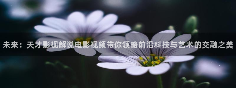 特污兔午夜影院在线观看