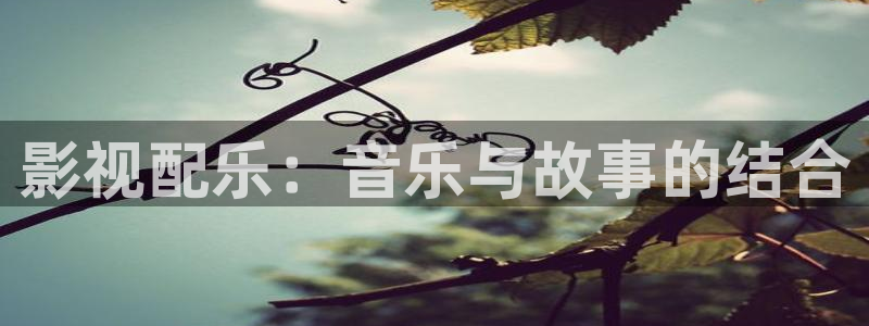 老司午夜影院