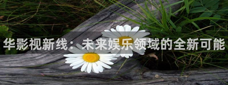 午夜理论免费观看片