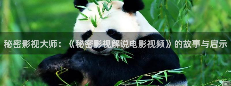 午夜窝窝看视频