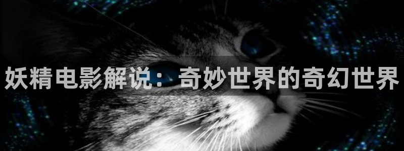 日韩欧美午夜电影在线