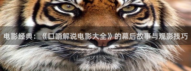 午夜老司机精品特黄av