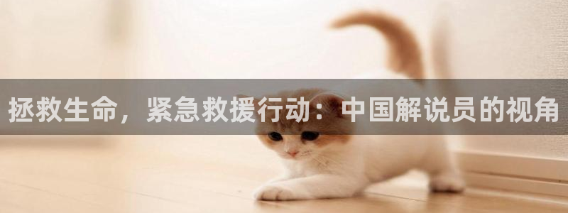八戒午夜伦理影院
