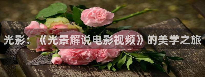 欧美午夜伦费影院在线观看：光影：《光景解说电影视频》的美学之旅