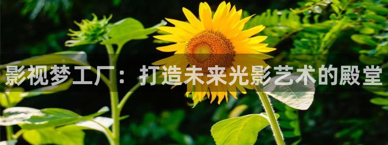 午夜a级片：影视梦工厂：打造未来光影艺术的殿堂