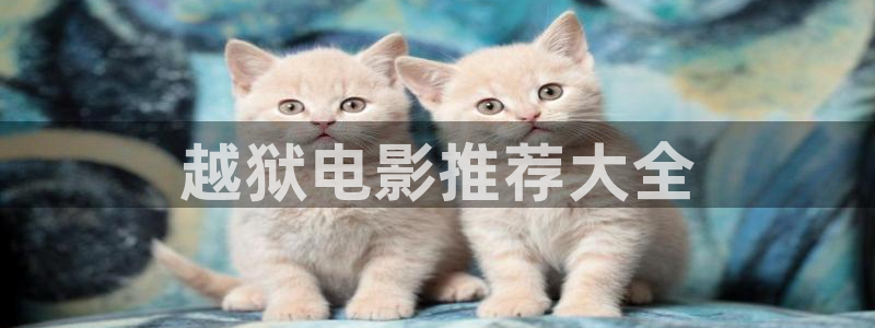 理论片午夜电影：越狱电影推荐大全