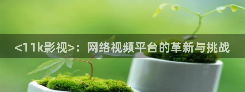 光棍免费午夜影院：<11k影视>：网络视频平台的革新与挑战