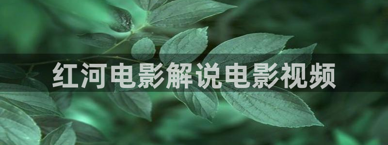 午夜精品福利av